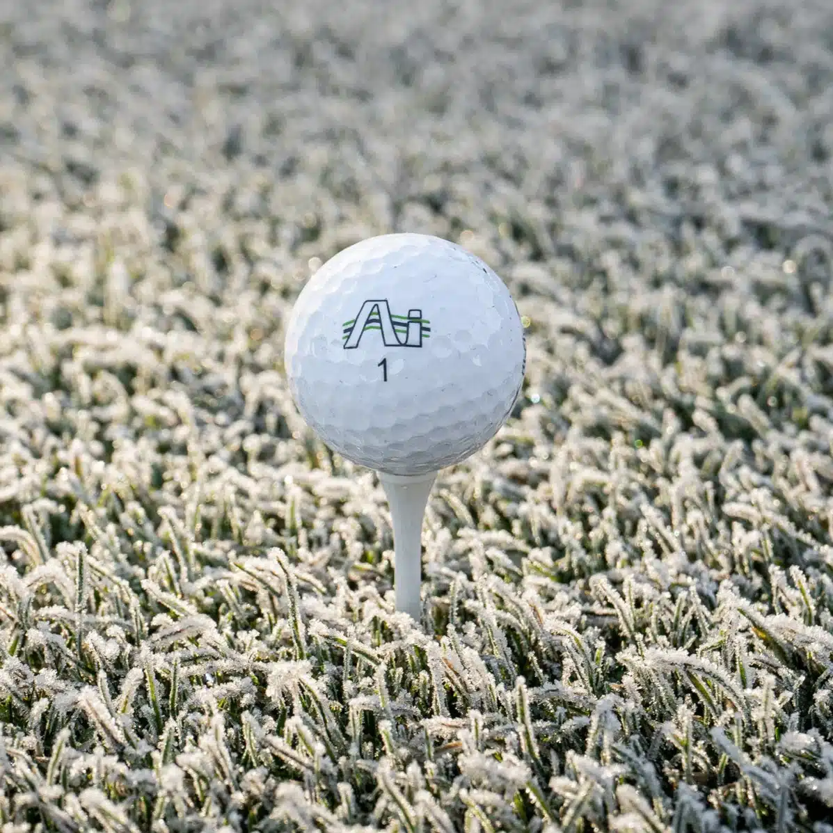 Lynx Junior Ai HiFly Balls Kondor Kidz