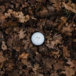 Lynx Junior Ai Hi-Fly golf ball in Leaves