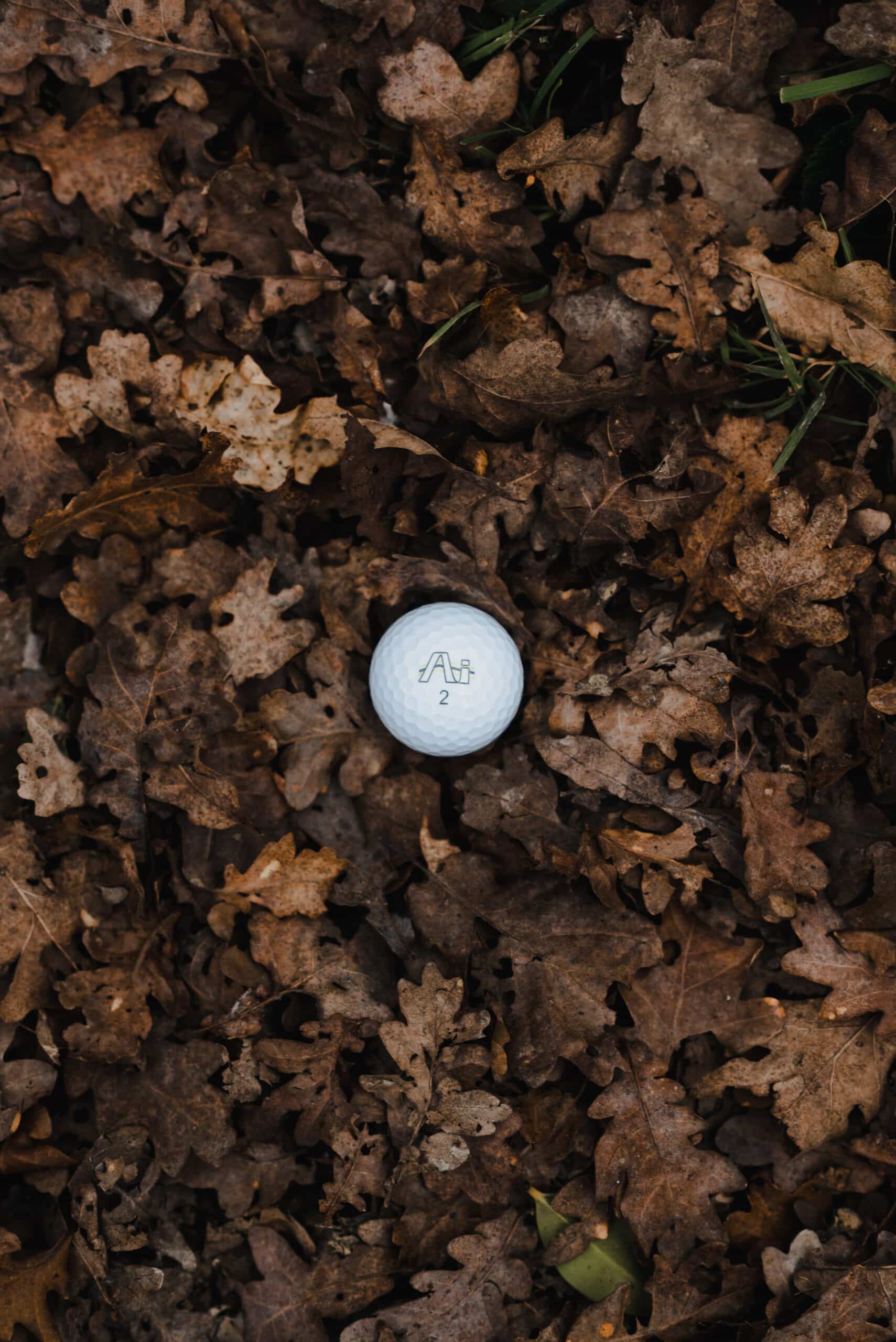 Lynx Junior Ai Hi-Fly golf ball in Leaves